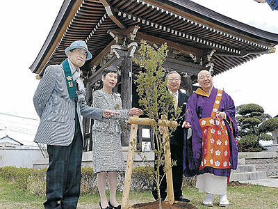 兼六園のモミジ、埼玉・法要寺へ　参勤交代で縁、交流の芽育む　植樹式、８年越し実現