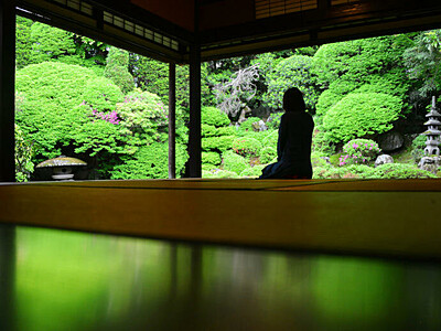 新緑に染まる日本庭園　下諏訪「本陣岩波家」一般公開