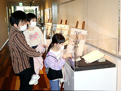 小さくて青い昆虫「ルリクワガタ」紹介　富山市科学博物館
