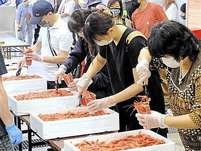 甘エビ詰め放題で大盛況　坂井市の三国港市場でイベント「春のふくい甘えび祭」
