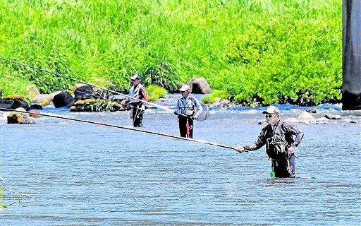 アユ釣りが解禁され、初物を狙う釣り人たち＝６月４日、福井県南越前町八乙女の日野川