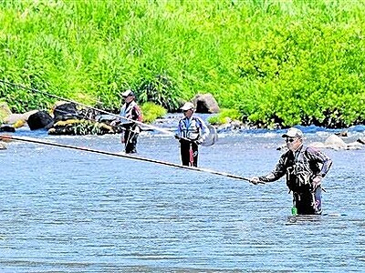 福井県内トップ　日野川でアユ釣り解禁