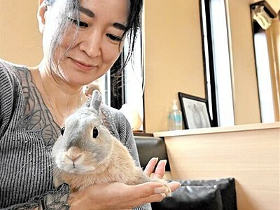 ウサギ抱き癒やしの瞬間　心理カウンセラーがカフェ開業