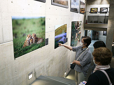 野生動物の魅力捉える　ふくおかカメラ館で吉野さん写真展