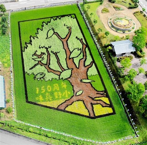 創立１５０周年を記念した田んぼアートを全校児童で囲った記念写真（味真野小提供）