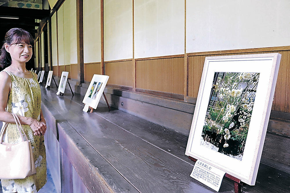 境内の自然を捉えた写真を眺める西野さん＝金沢市長坂町の大乘寺