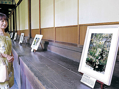 大乘寺を応援、写真展　金沢・久安の西野さん、境内の自然写した１０枚飾る