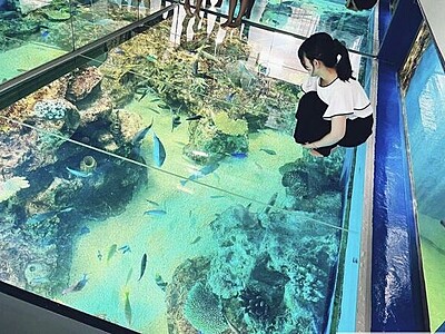 越前松島水族館、オススメの写真映えスポット　魚と記念撮影、おしゃれなクラゲ展示も【ふくジェンヌ】