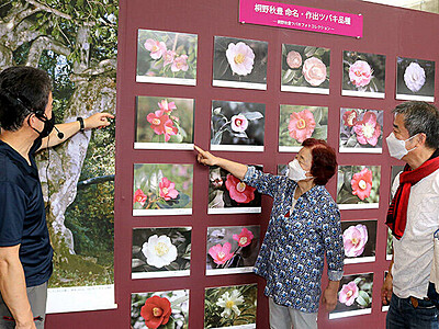 ツバキ研究・故桐野秋豊さんの写真展示　富山県中央植物園