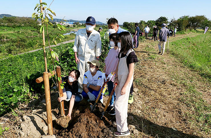 小矢部川右岸の河川敷にサクラの苗木を植樹する参加者