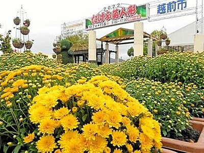 たけふ菊人形、多彩催し10月7日開幕　OSK連日公演、会場の越前市武生中央公園に新遊具