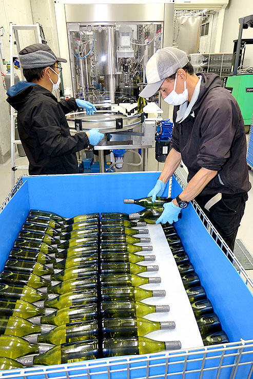 自社栽培ブドウで醸造した新酒ワインを瓶詰めする従業員