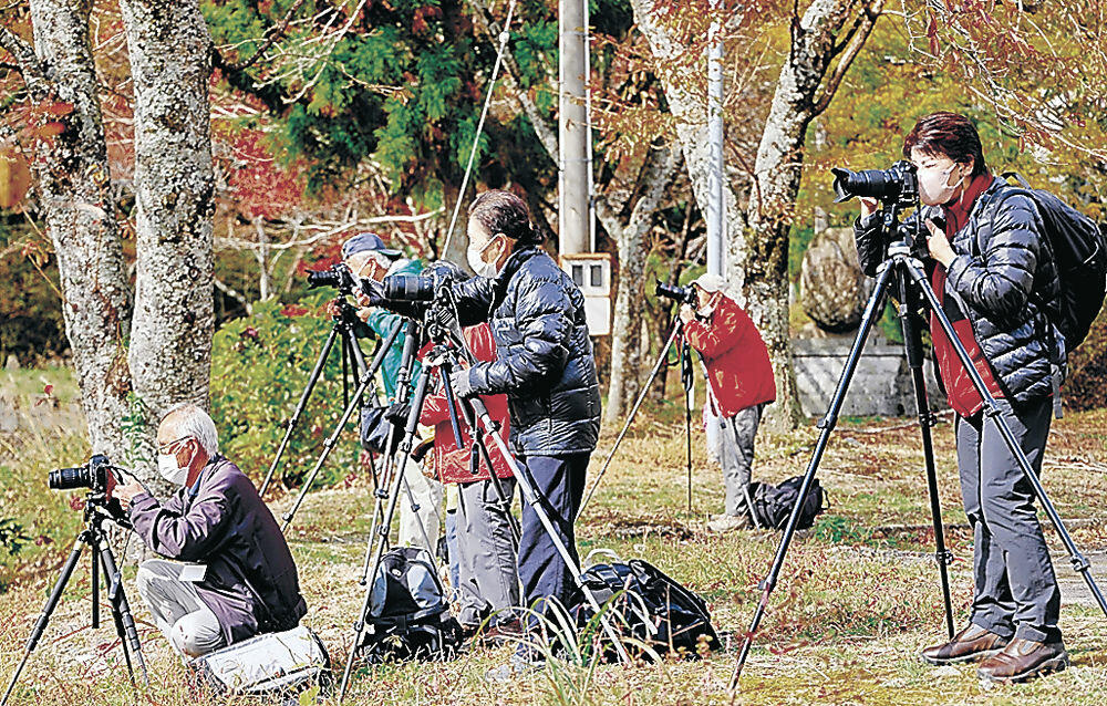 カメラを構える参加者＝大野市の九頭竜湖（自然写真塾提供）