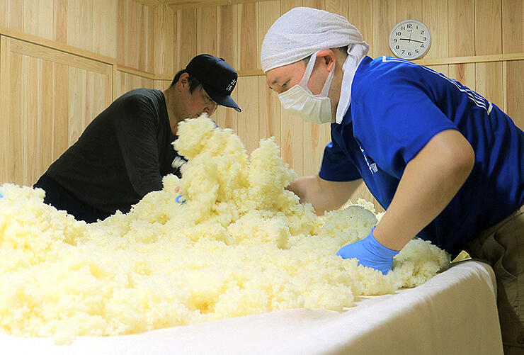 真新しい室で、蒸し米にこうじ菌を合わせる田中社長（左）と坂本杜氏