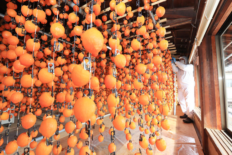 色鮮やかに干し場に並ぶ「柿すだれ」＝７日、飯田市座光寺