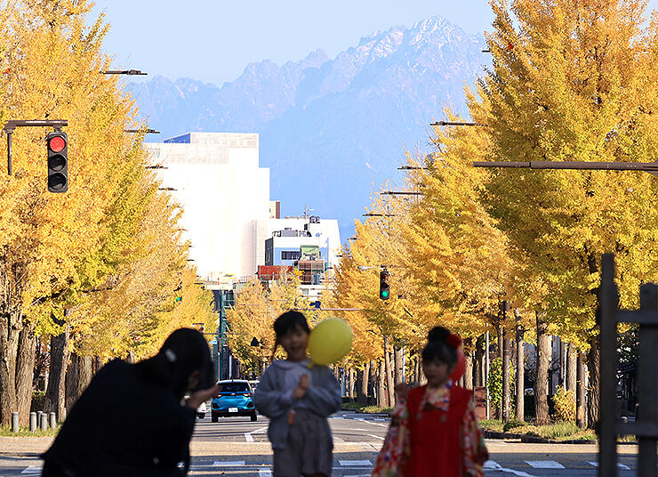 剱岳を彩るイチョウ並木の黄葉。小春日和の下、七五三の親子が記念撮影していた＝富山市磯部町