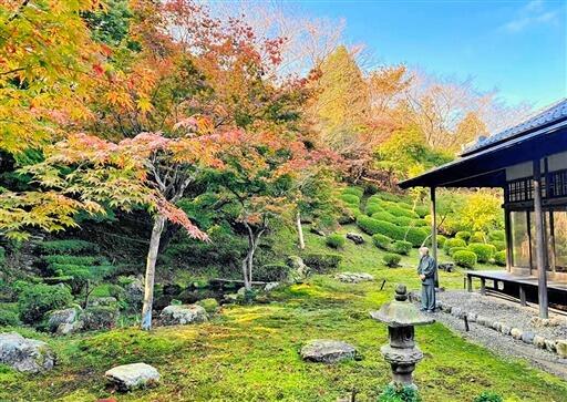 コケの緑と紅葉のコントラストが鮮やかな庭園＝１１月１８日、福井県小浜市の常高寺