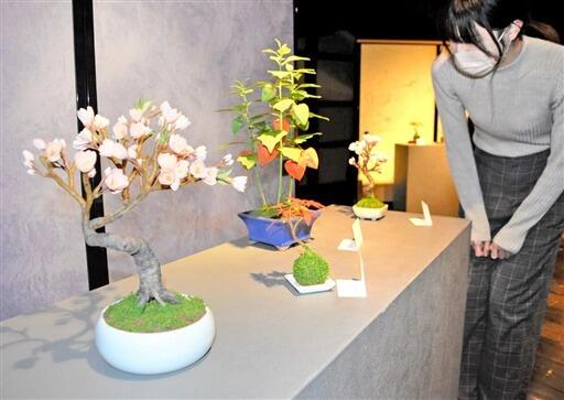 和紙を使って本物そっくりに作られた盆栽の作品展＝１１月２５日、福井県越前市の卯立の工芸館