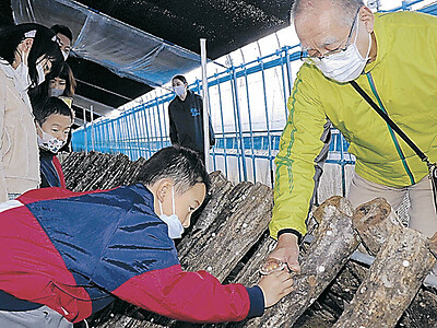 親子が「のと１１５」収穫　石川県七尾市で体験会
