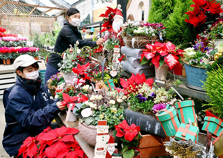 クリスマスを前に、店内に並ぶ華やかな寄せ植え＝北山ナーセリー富山店
