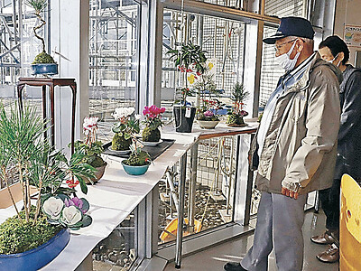 寄せ植えや盆栽展示　石川県の「能美やまくさ会」