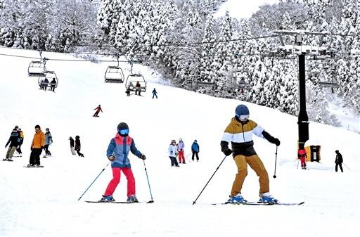ゲレンデにシュプールを描き、気持ちよさそうに滑るスキーヤーら＝１２月１７日、福井県勝山市のスキージャム勝山