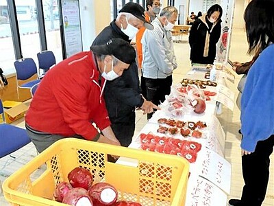 伝統野菜「杉箸アカカンバ」いかが　敦賀市役所で生産者がＰＲ販売