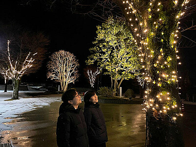 冬の入善町中央公園が幻想空間に　樹木にイルミ設置