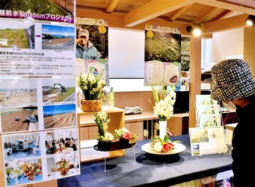 スイセンのフラワーアレンジメントなどを展示したＰＲコーナー＝１月１０日、福井県福井市観光物産館「福福館」