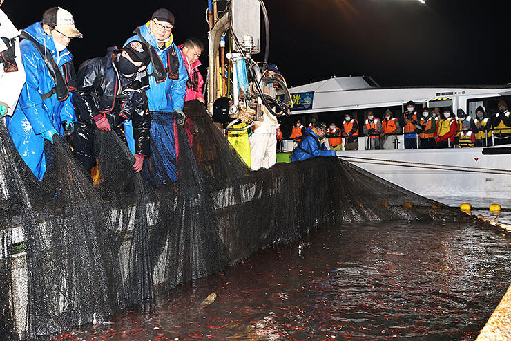 奥の船で、ホタルイカ漁を見学する観光客（２０２１年４月１日、滑川沖）