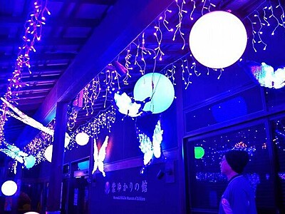 越前市「紫ゆかりの館」、幻想的なイルミネーション　NHK大河ドラマ「光る君へ」向け