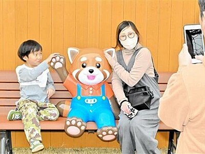 レッサーパンダのベンチお目見え　福井県鯖江市の西山動物園