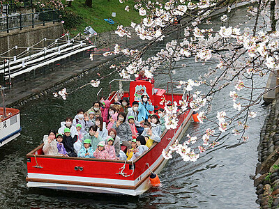 船から色づき始めた桜楽しむ　富山、２４日から松川遊覧船本格運航