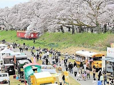 福井に春「桜まつり」開幕　名所100選の足羽川並木間もなく満開　4月9日まで