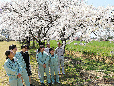 自慢の千本桜 見に来て　富山・中央農高生が企画、４月６日にスタンプラリー
