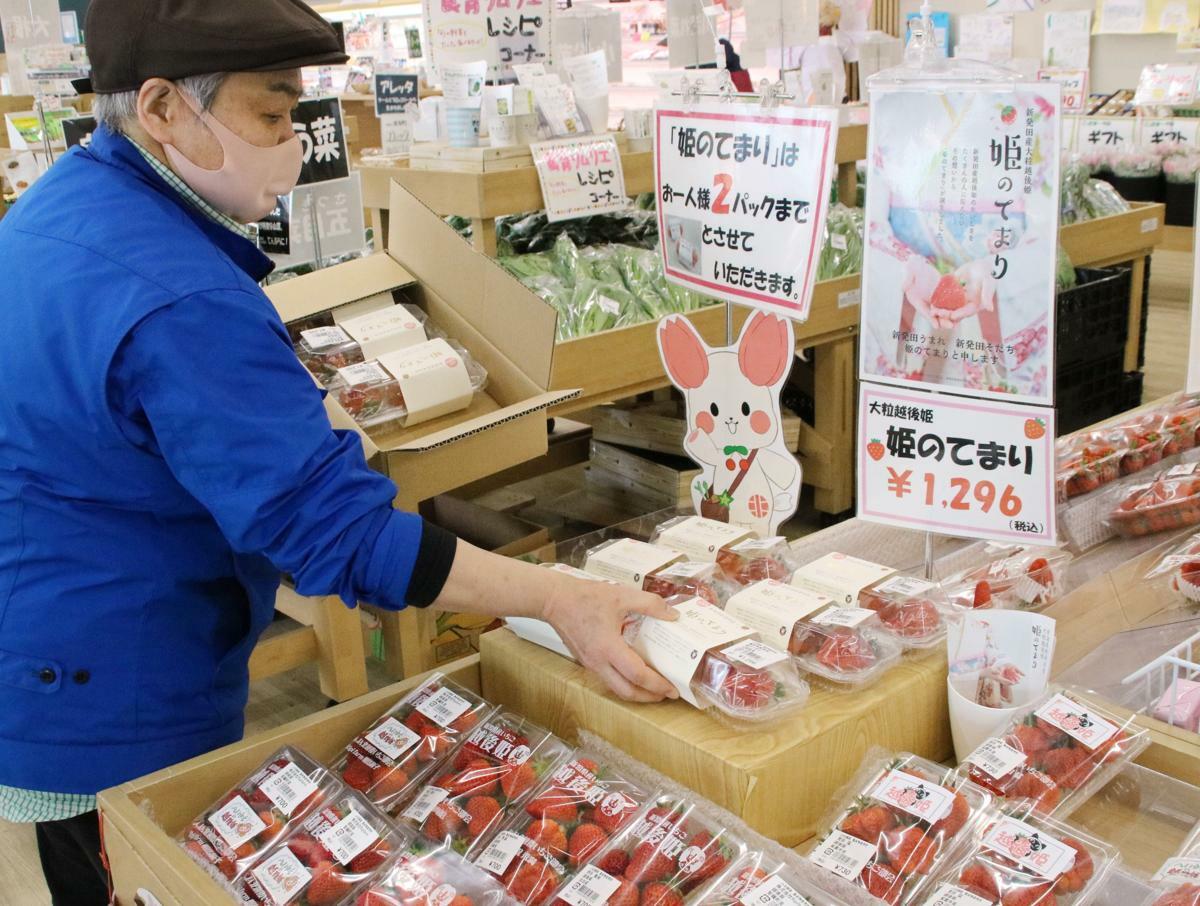 「こったま〜や」の店頭に並ぶ特大イチゴ「姫のてまり」＝新発田市島潟