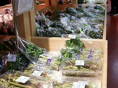 早くも山菜が豊富に、長野市信州新町の道の駅で