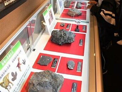 化石ラボ「ガ・オーノ」オープン　大野市・和泉郷土資料館を改修