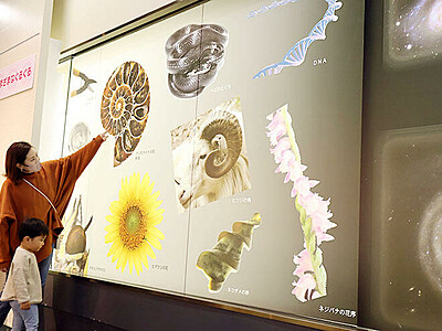 ヘビやＤＮＡ模型「ぐるぐる」大集合　富山市科学博物館