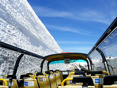 「雪の大谷」満喫して　地鉄、１２日からスカイバス運行