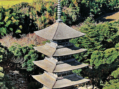 妙成寺・五重塔の屋根修復　 ７月にも、国宝へ弾み