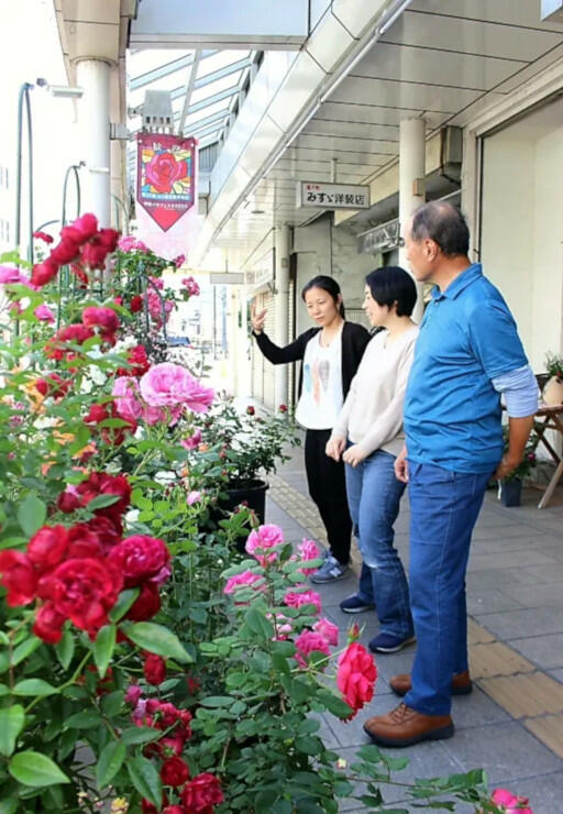 通り町商店街で見頃を迎えたバラを観賞する住民