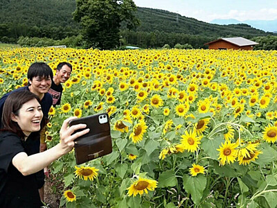 「映える」スポットは遊休農地　涼風浴びて､夏の絶景眺めてリフレッシュ　長野県高山村でヒマワリ見頃