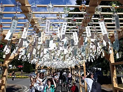 「りんりん」風鈴１万個、ギネス世界記録の響き　飯島町にずらり