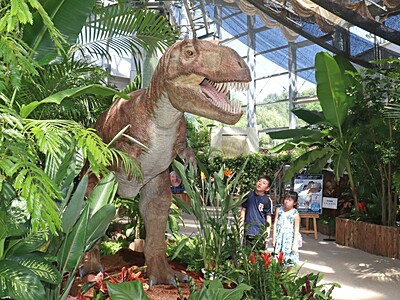 きゃ～どっちも怖い、すごい、楽し～い！「食虫植物展」と「恐竜と花展」新潟県立植物園で同時開催　新潟市秋葉区で9月10日まで