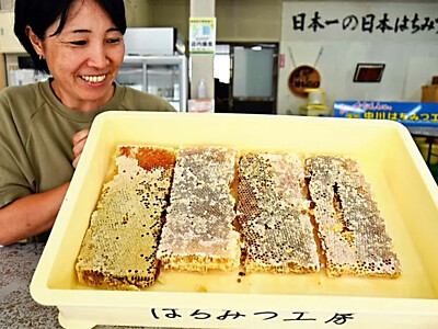 日本ミツバチの恵み、中川で体験を　初めて一般向けに「祭り」開催