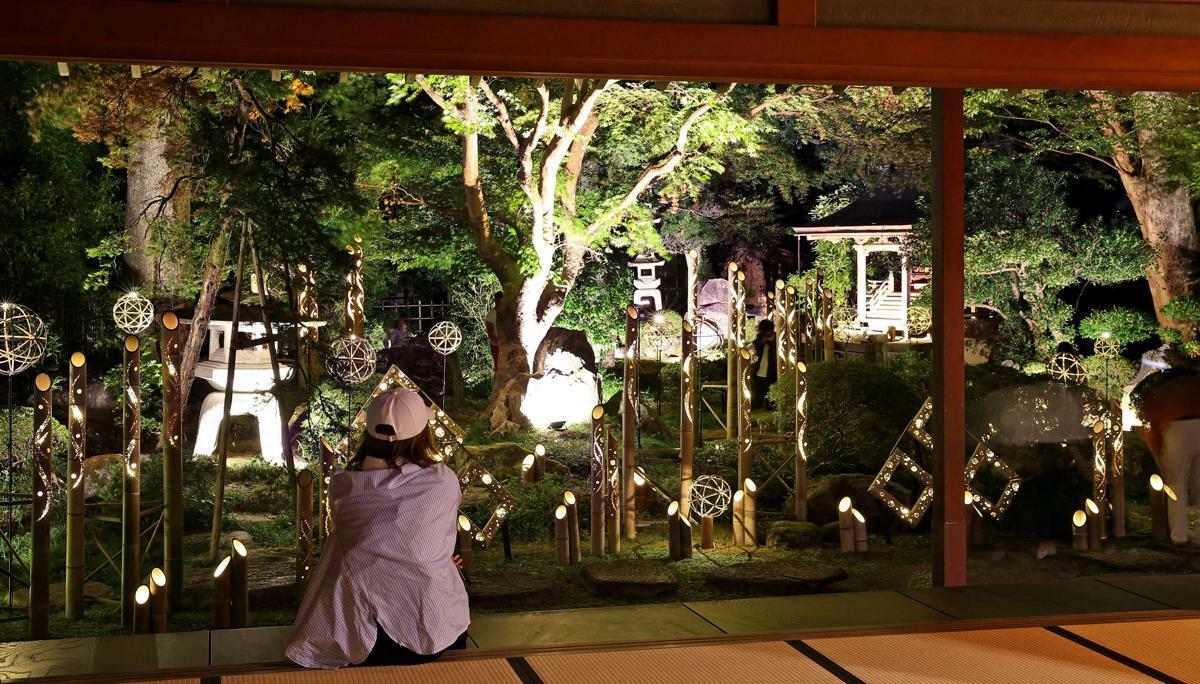 椿寿荘では枯山水の庭に竹あかりを調和させた。来場者は座敷に腰を下ろし、普段とは異なる趣を味わえる＝田上町田上