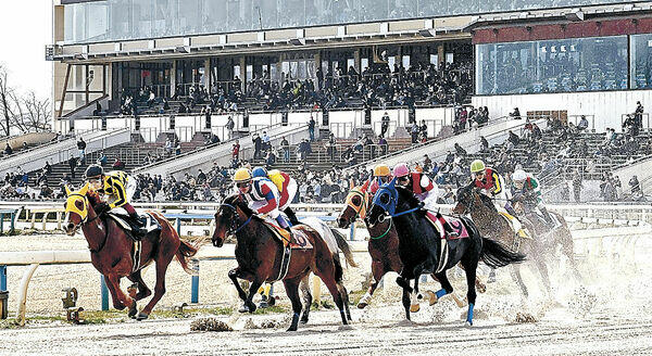 上半期の売上額が過去１０年で最高となった金沢競馬