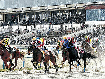 県営金沢競馬、売上が最高　 過去１０年上半期１６３億円