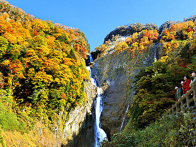 秋色に染まる立山・称名滝
